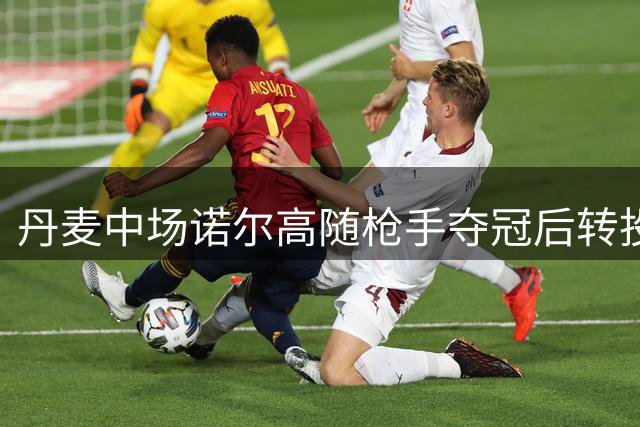 丹麦中场诺尔高随枪手夺冠后转投埃弗顿 仅7次英超登场即收英超奖牌