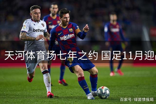 天河体育场七年之约 国足11月迎战国际强队